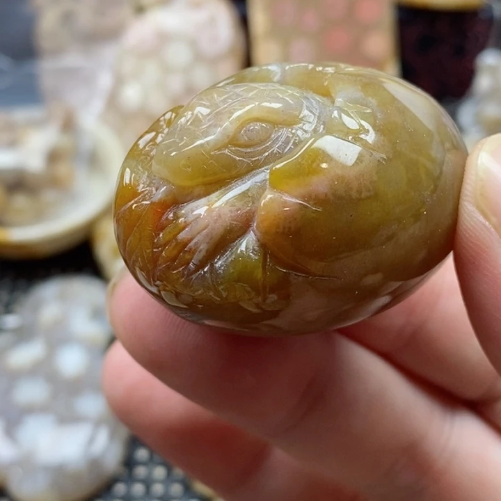 硅化珊瑚（珊瑚玉）颈饰未镶嵌