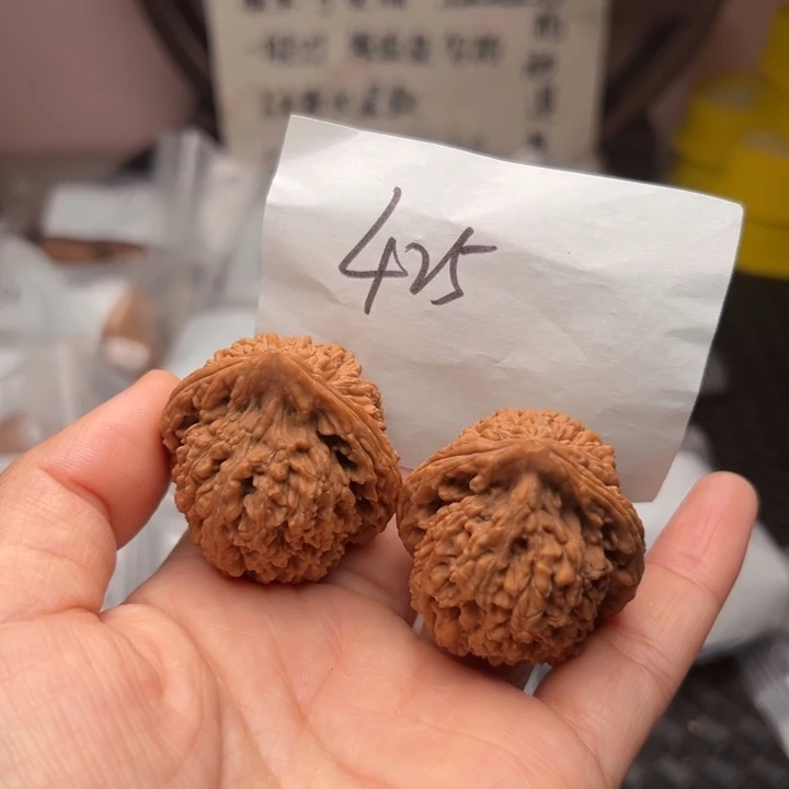 核桃38尺寸粗筋蚂蚁王磕尖