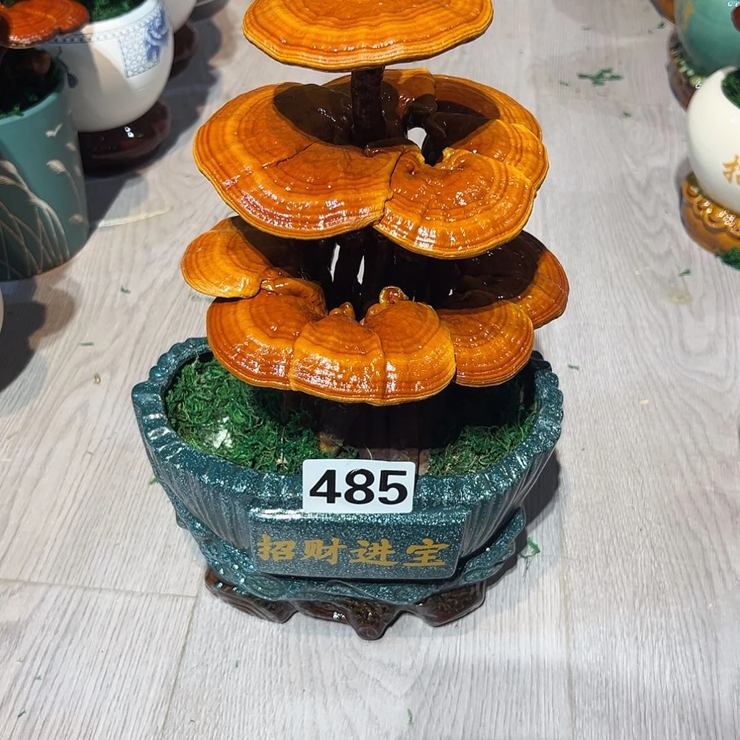 无花朵88888888888