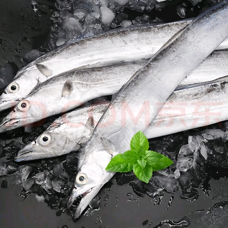 【天悦专属福利6】新鲜带带鱼100-200克