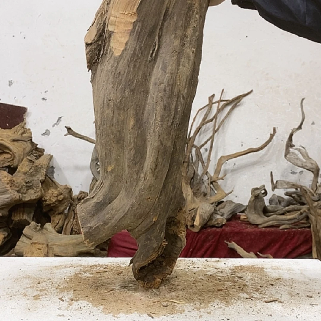 【闪购商品】柏木人**湖我们都是好孩子