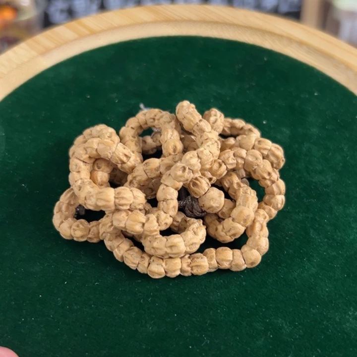 热振深坑鬼脸大肠