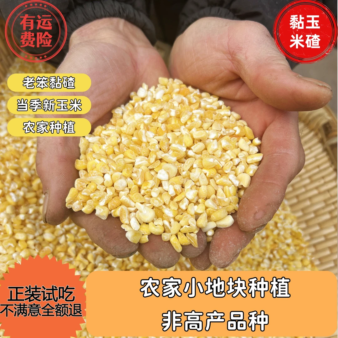 【25年新玉米糁】香糯玉米碴子黏糊煮粥杂粮熬粥早餐沂蒙山糯米玉米