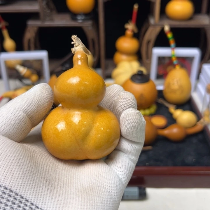 葫芦贤弟葫芦贤弟葫芦贤弟葫芦64