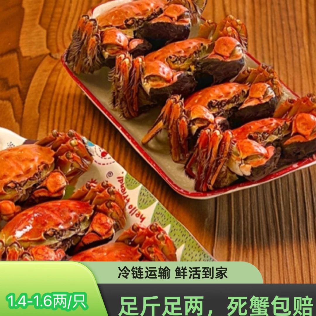 【活蟹】河蟹规格1.4-1.6两母蟹13只左右2斤