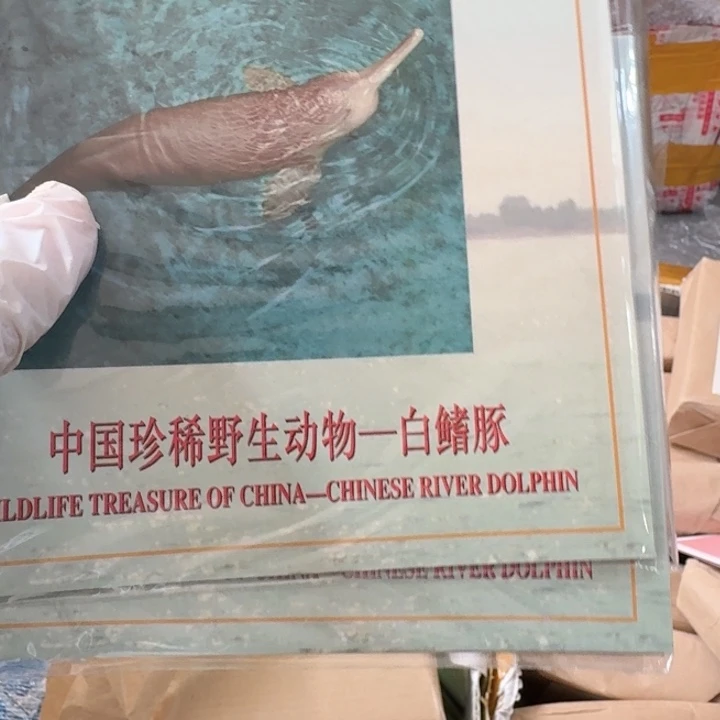 其他普通金属白鳍豚卡册