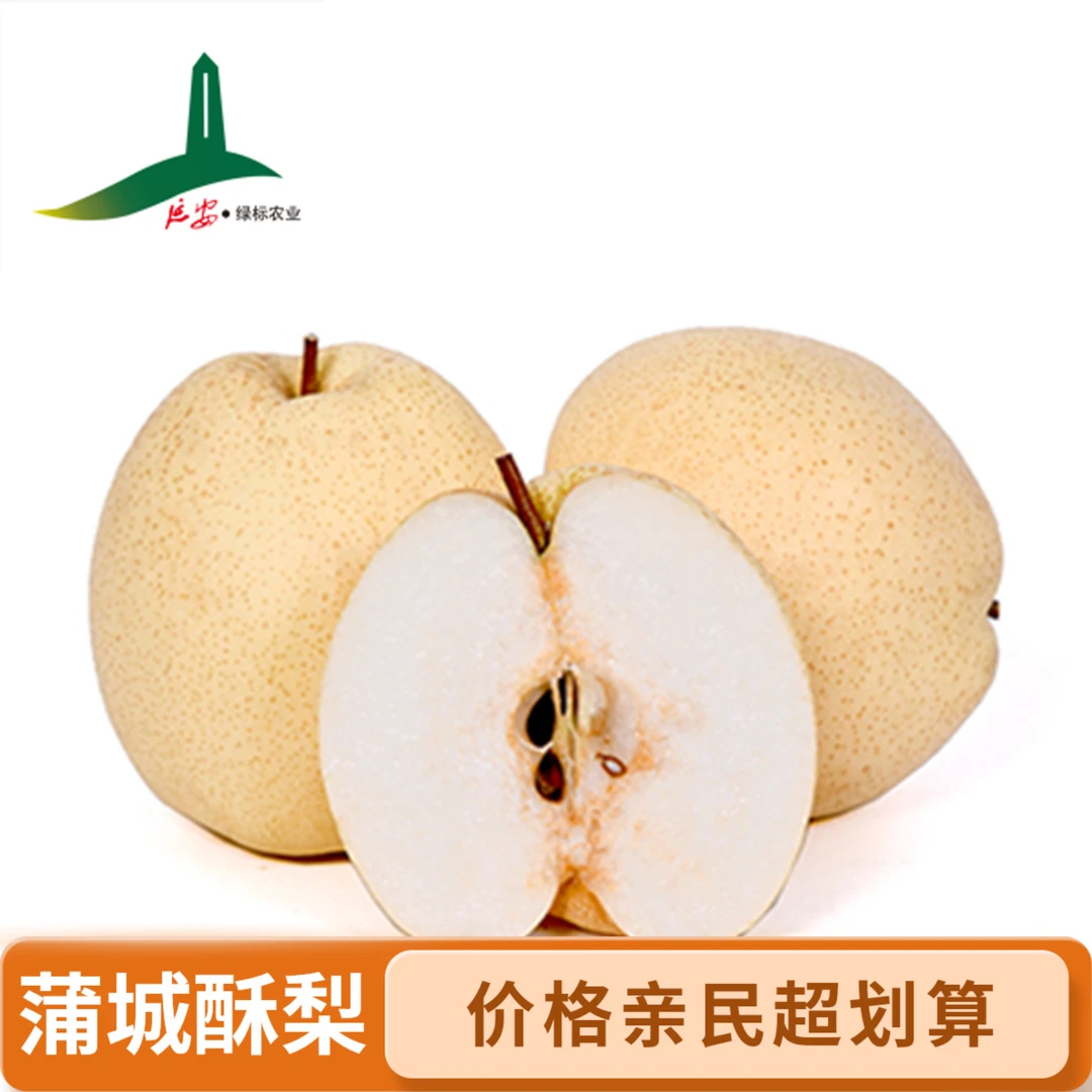 蒲城酥梨中果【京东包邮】新鲜香甜梨脆甜多汁酥脆皮薄肉厚砀山梨
