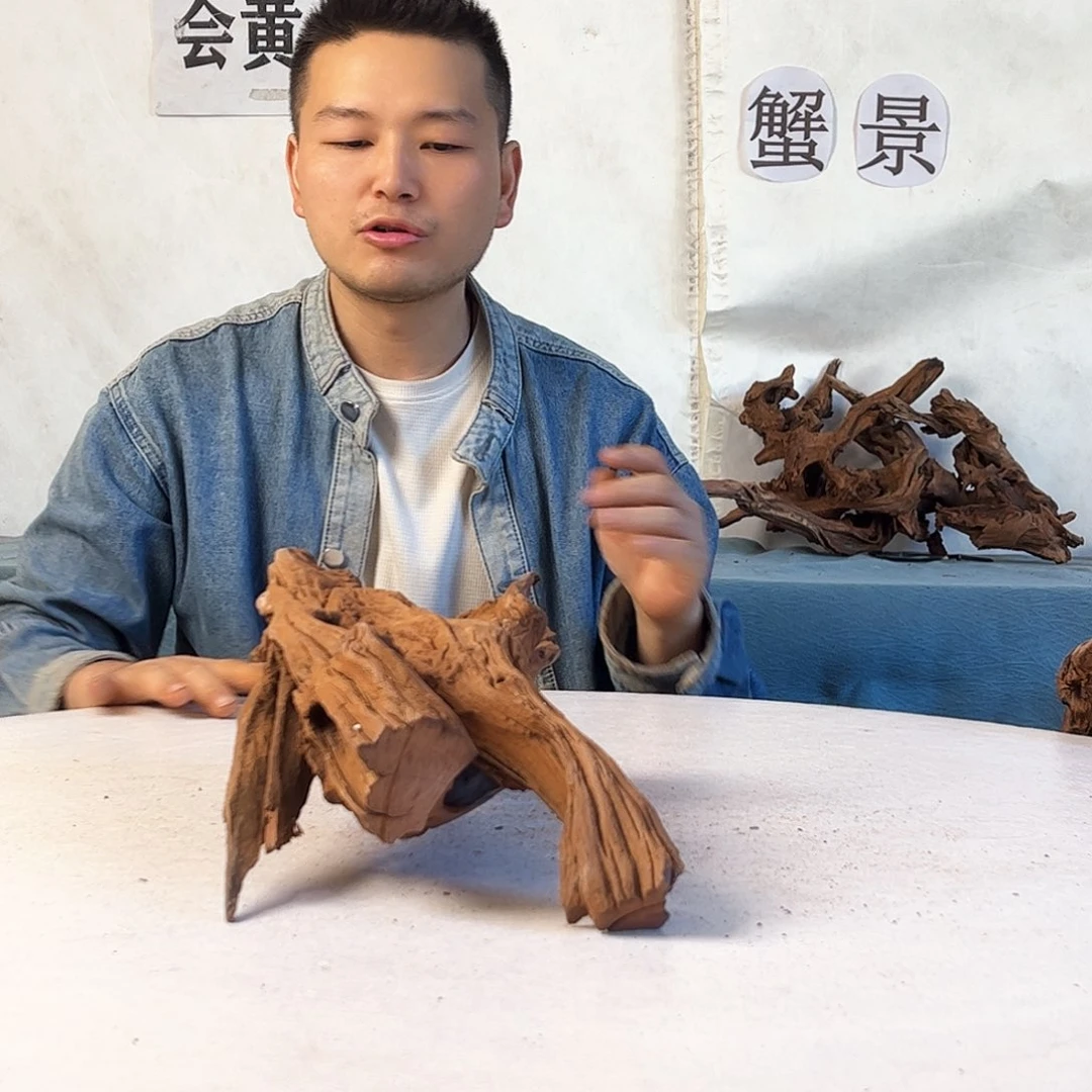 33.13.15 沉木造景爬宠造景