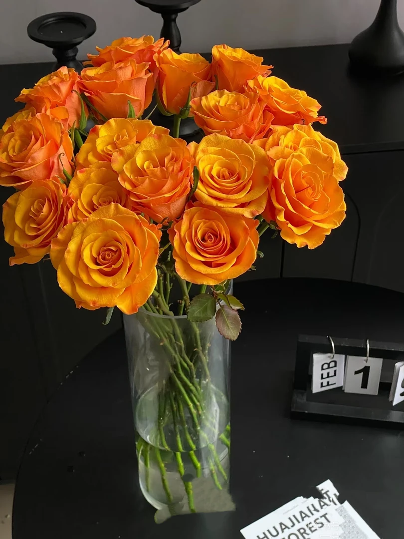 【辉煌单头玫瑰】 鲜切花水养花期长鲜切花礼物家养