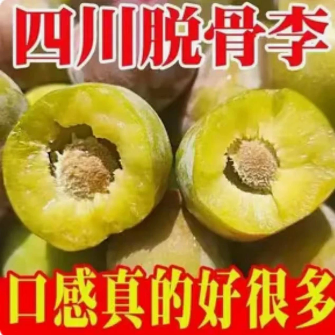 四川高山脱骨李子半边红脆李新鲜采摘现摘现发应季水果酸甜多汁