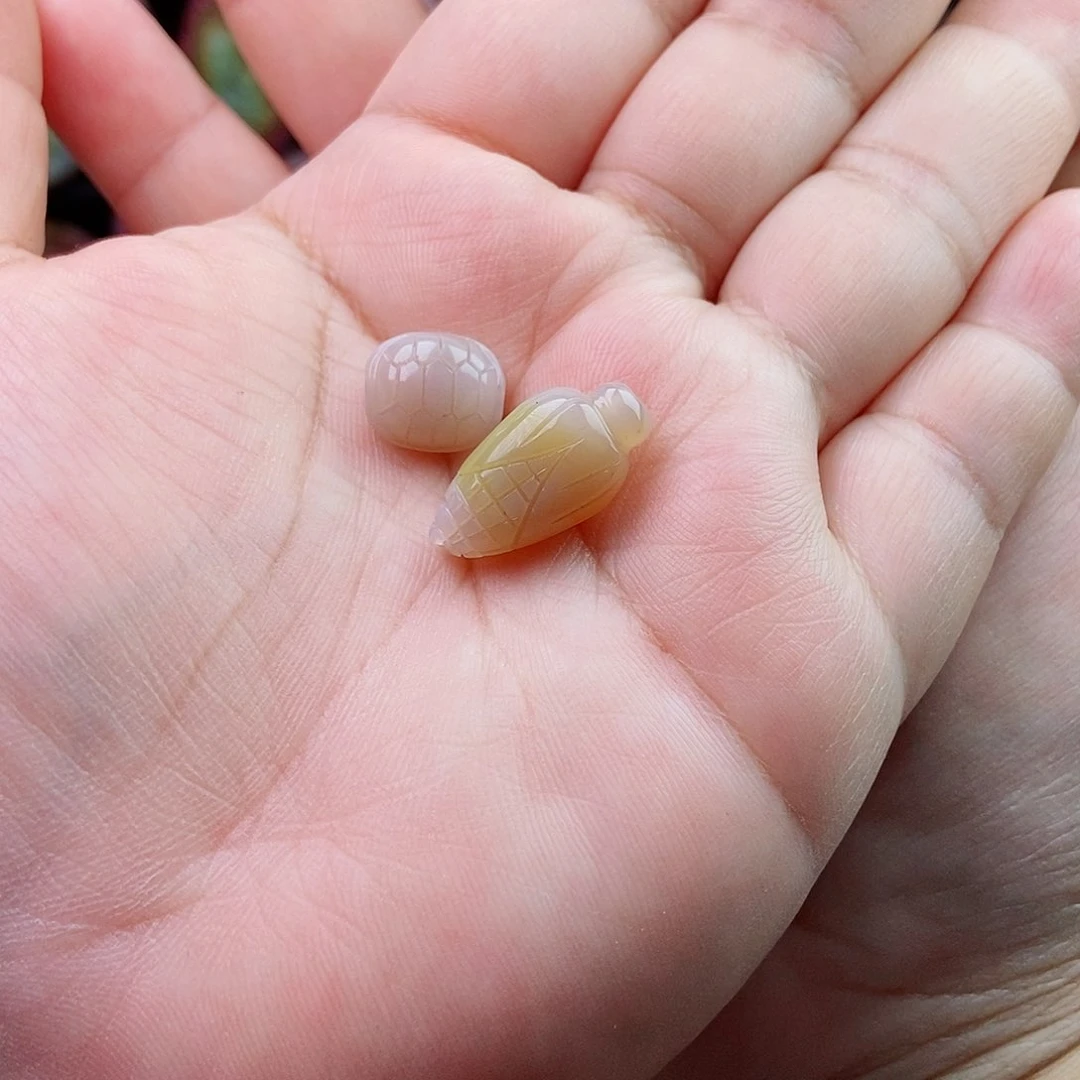 未镶嵌石英质玉（盐源）珠宝半成品