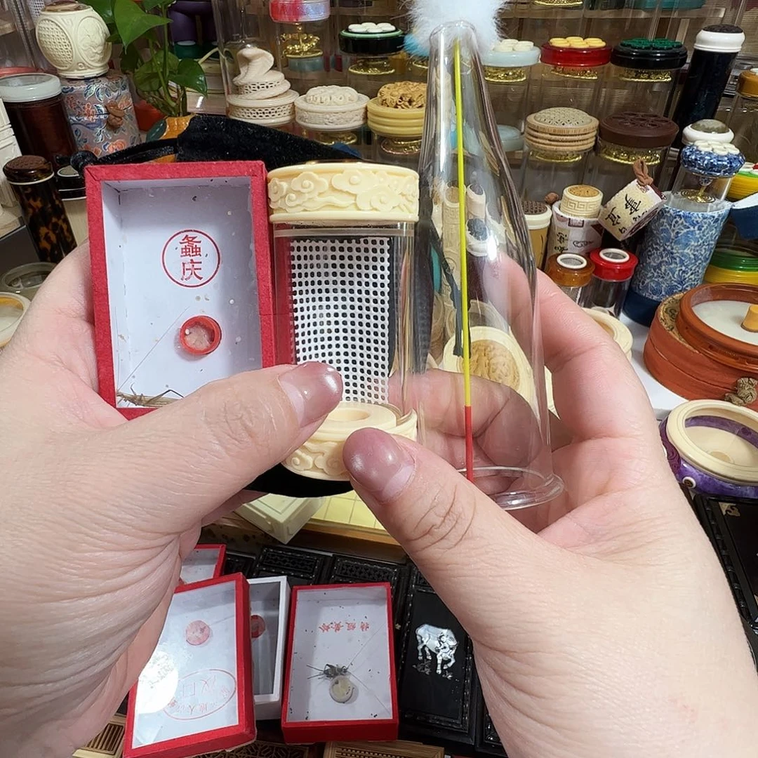 竹蛉套装一个6666