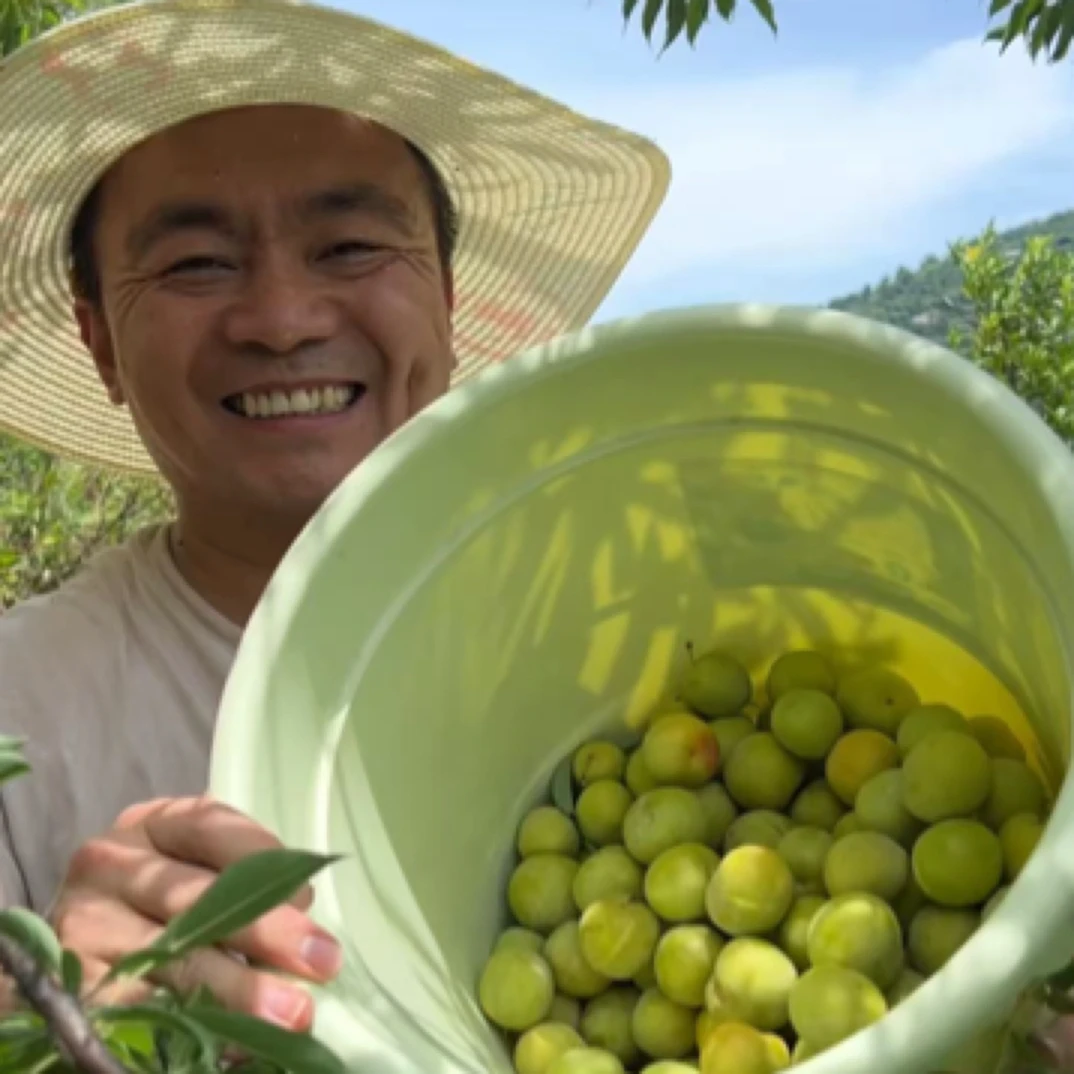 重庆万州新鲜应季青脆李子脱骨李脆甜多汁（八分甜两分酸）