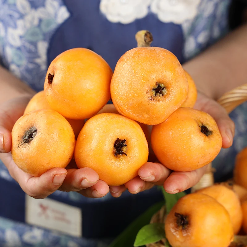 顺丰包邮新鲜枇杷四川大五星枇杷新鲜采摘产地直发当季鲜果