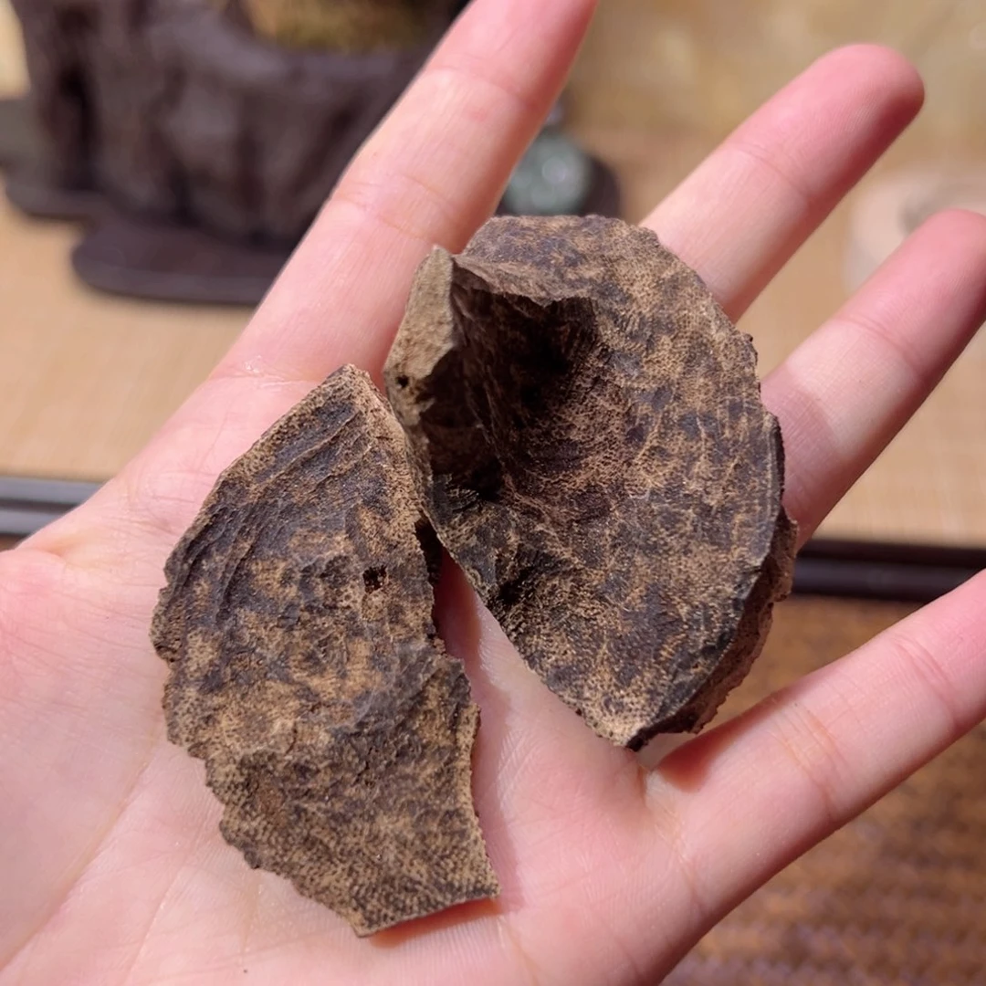 【闪购商品】香榧木海南木料大山老铁头福利