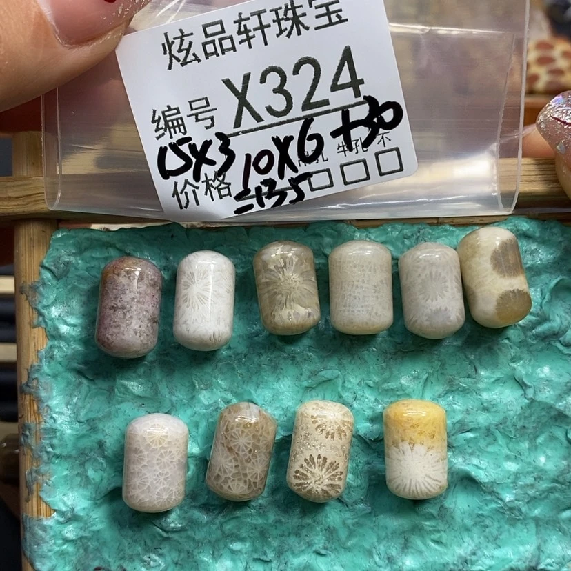 【闪购商品】硅化珊瑚（珊瑚玉）颈饰未镶嵌喵****」K324