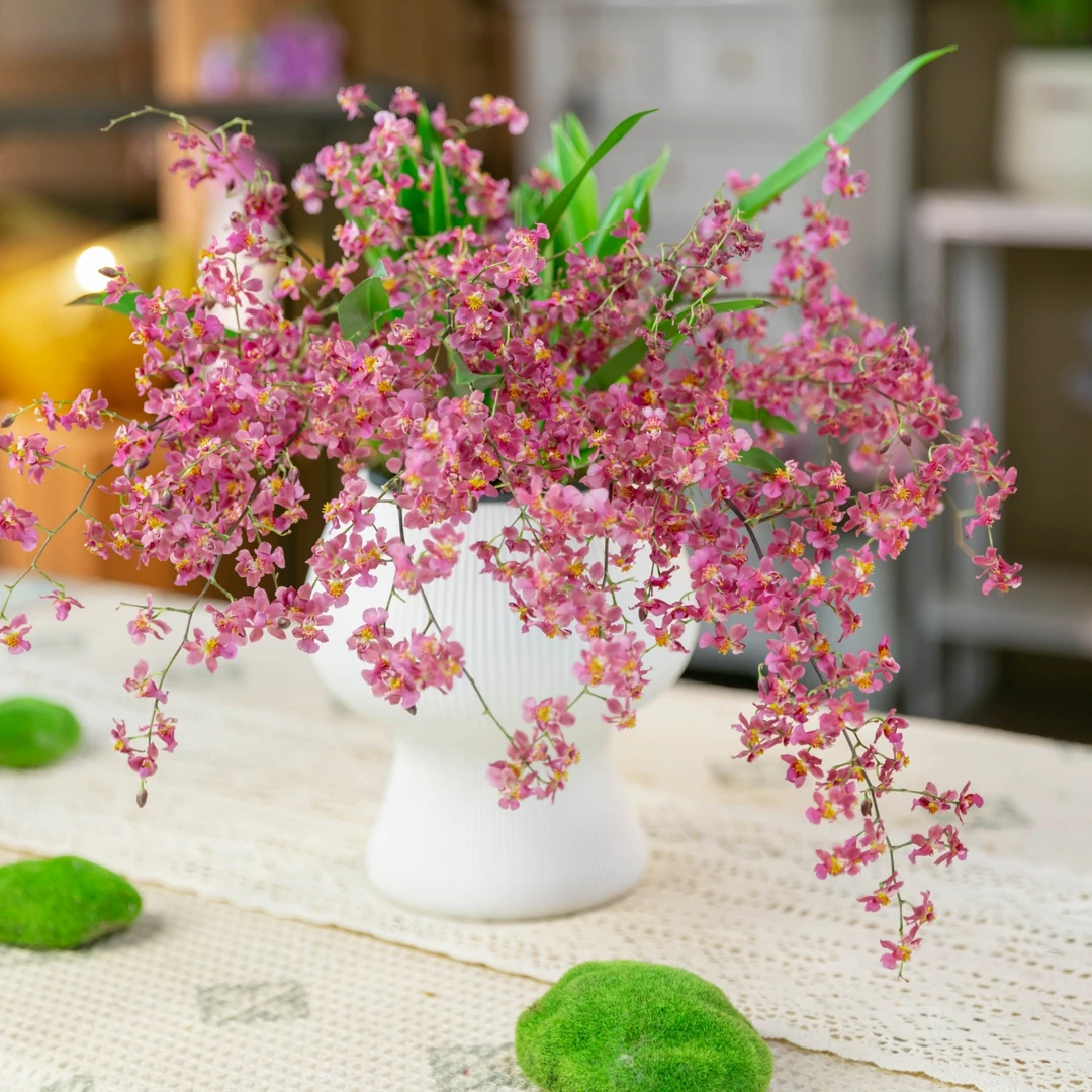 【年宵花长花期】红色10-13花剑带成熟花苞文心兰室内内巧克力