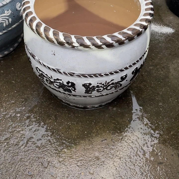 我是一只小小鸟地域鬼的人生