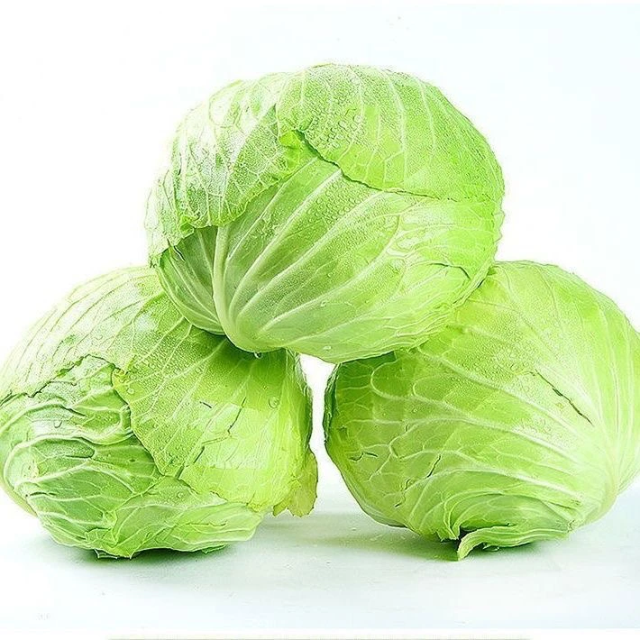 【顺丰或中通发货】云南新鲜包菜甘蓝沙拉菜烧烤配菜