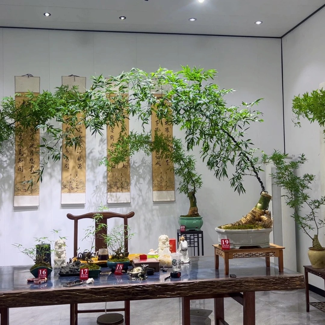 无花朵斜卧桩大胖子大飘枝