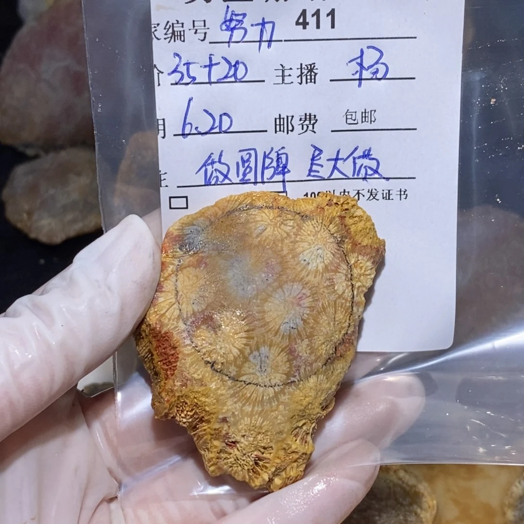 【闪购商品】硅化玉珊瑚玉未镶嵌努***g