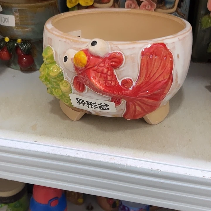 粗陶材质多肉花盆