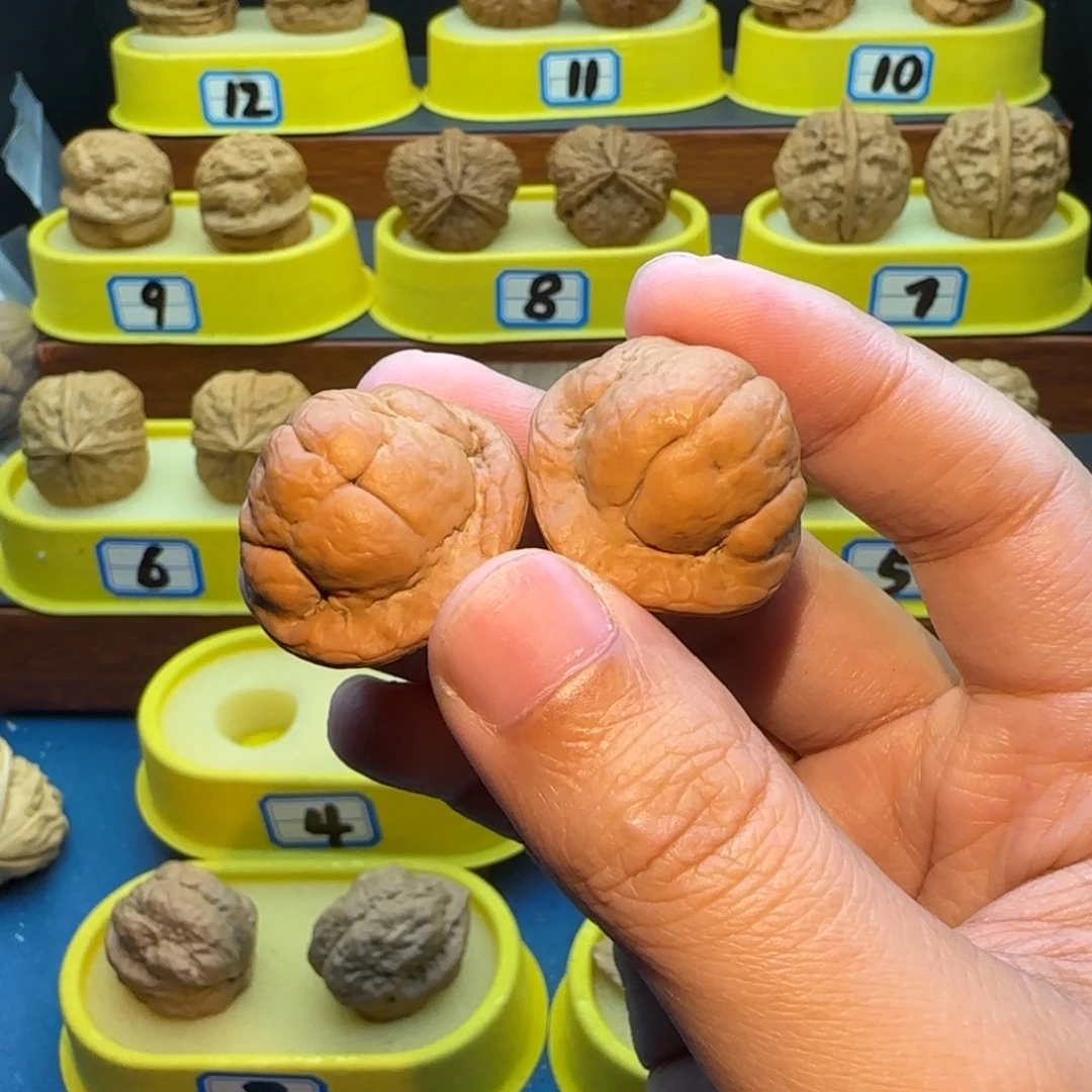 君***下桃核把件金刚鹦蟾