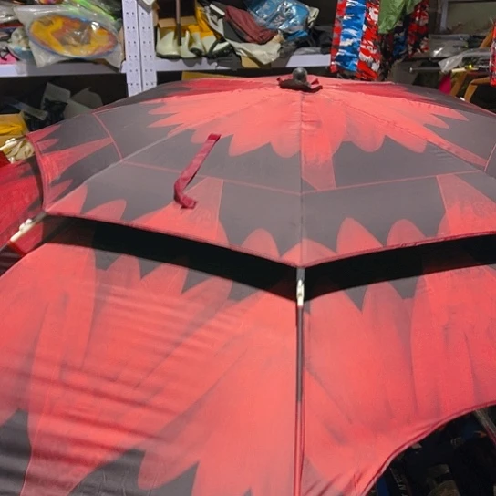 黑红大伞一套。