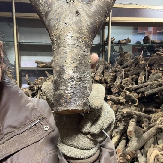 香榧木宾*哥火琉璃的故事毛料摆件