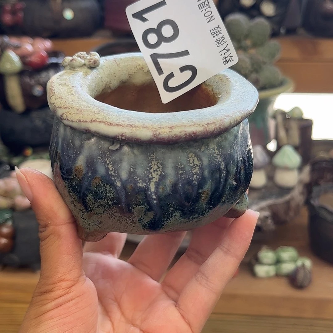 要不要钱也可以这么781