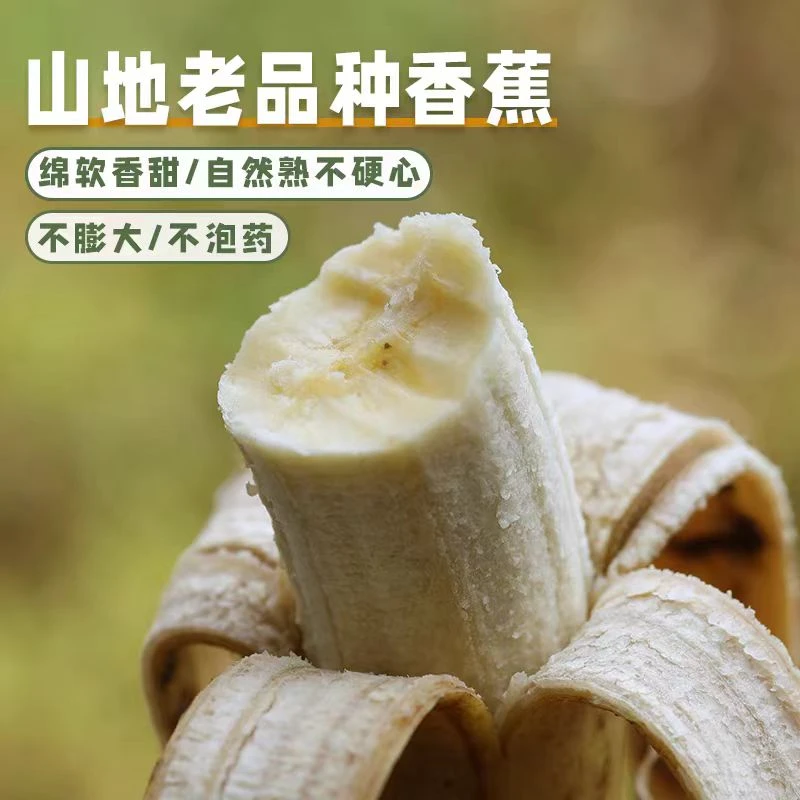 云南山地老品种丑香蕉芝麻香蕉
