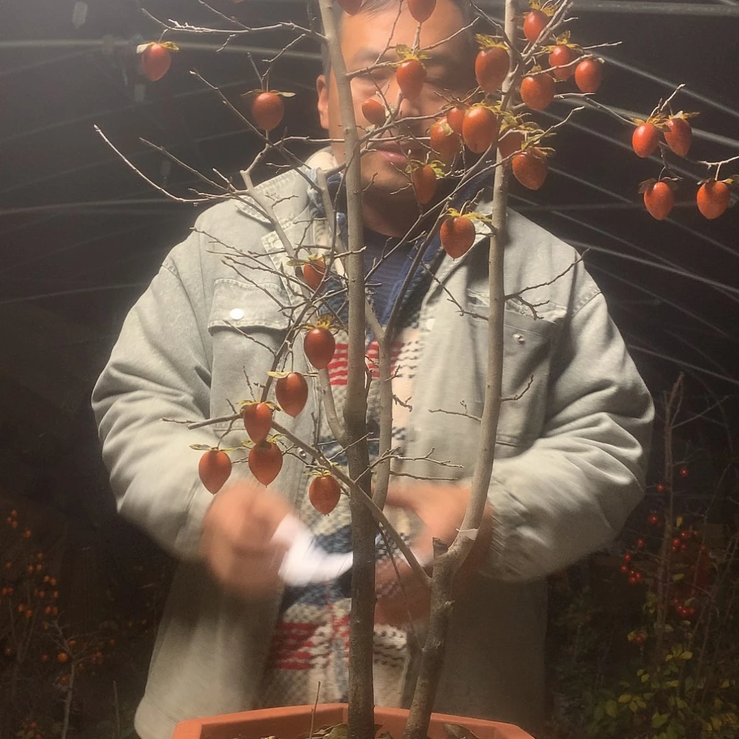 陳***氏无花朵我们的目标是