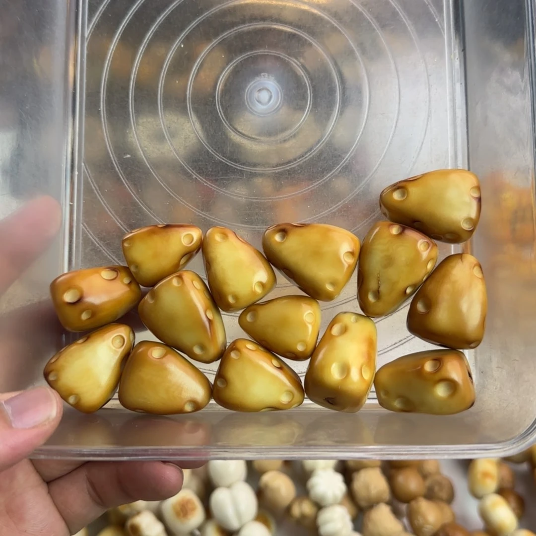 菩提根/象牙果吊坠瑕疵炭烤大尺寸奶酪14颗无售后