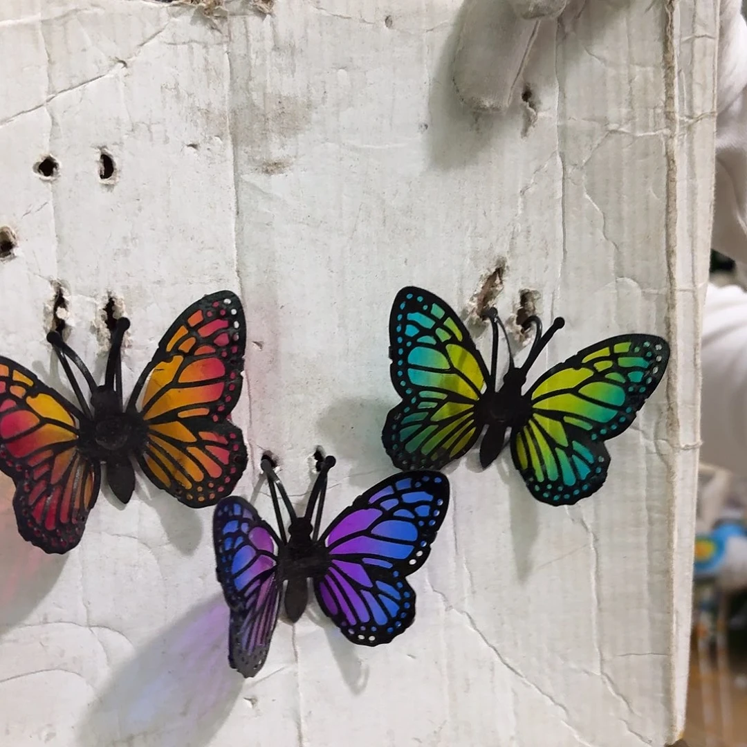 核桃木/黑胡桃（胡桃木）