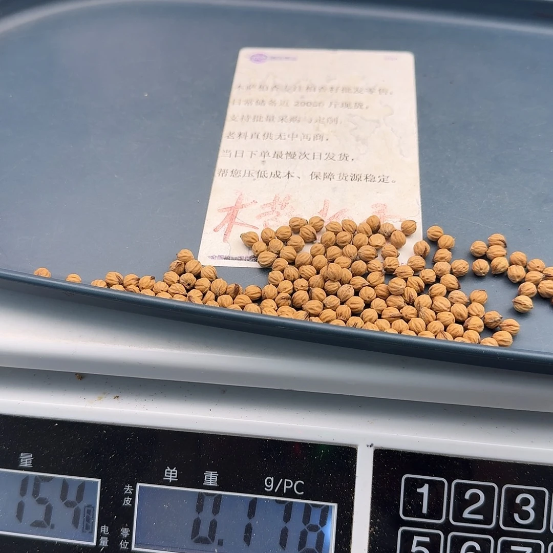 柏香籽/百香籽吊坠15克小金豆