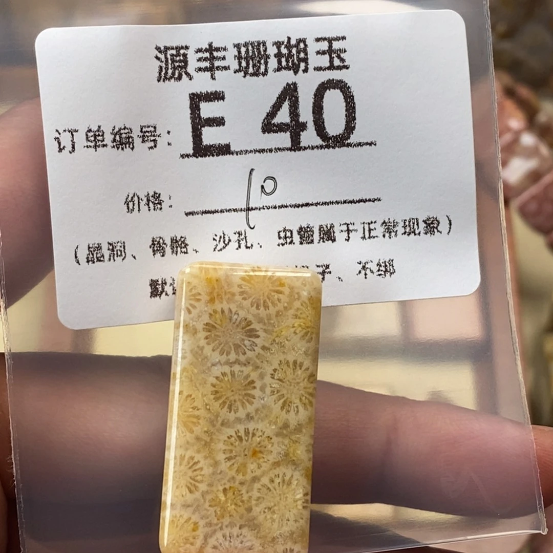 红***尘硅化玉未镶嵌颈饰