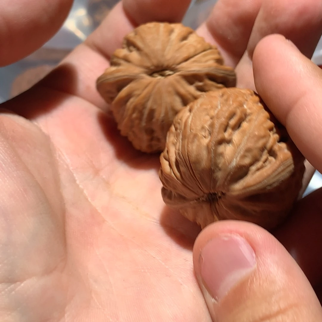 猴头核桃吊坠绝***鼠567889988767899