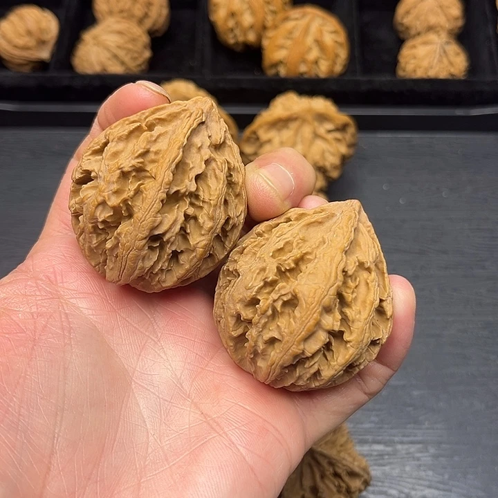 核桃突突突突突突突突