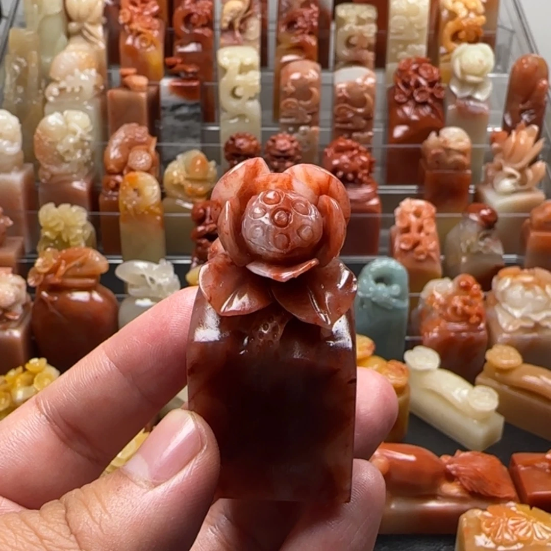 老挝石荷花  2.7×5.6