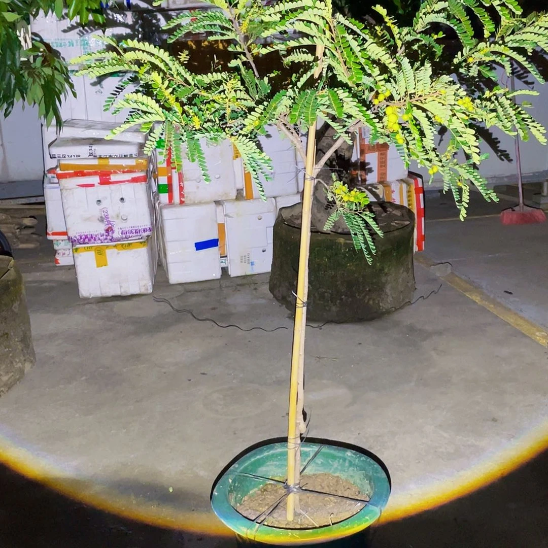 完全开放厚*g m 88888888888