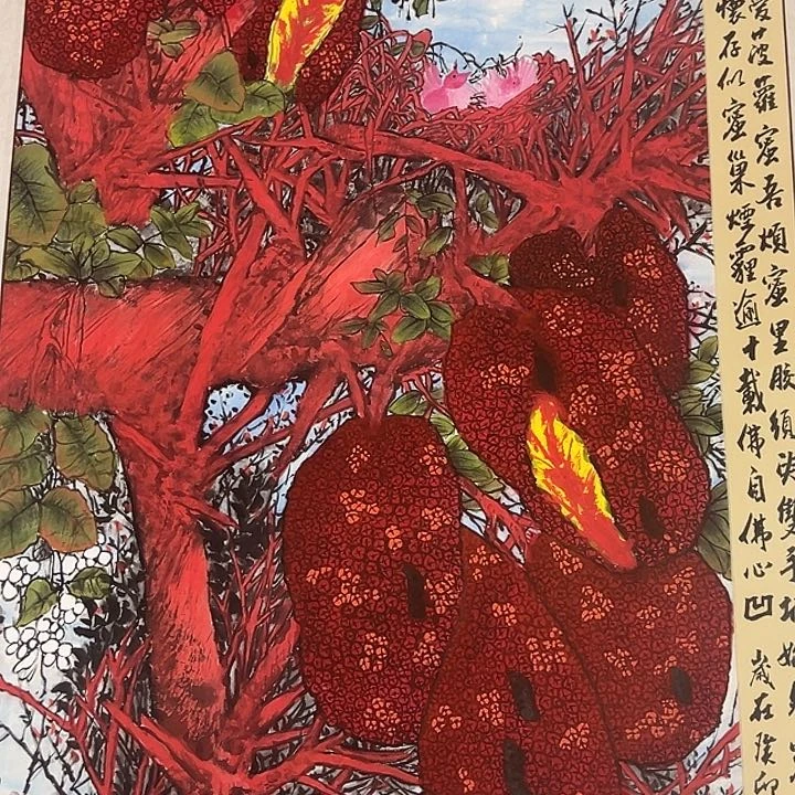 横款新号开播，放大漏……
