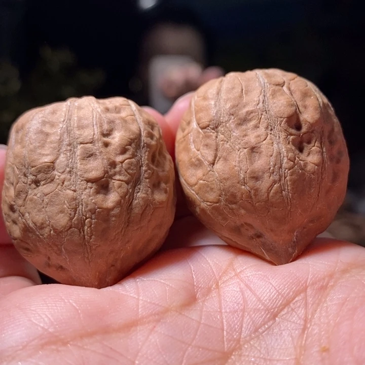 把件文玩核桃东北楸子小路21