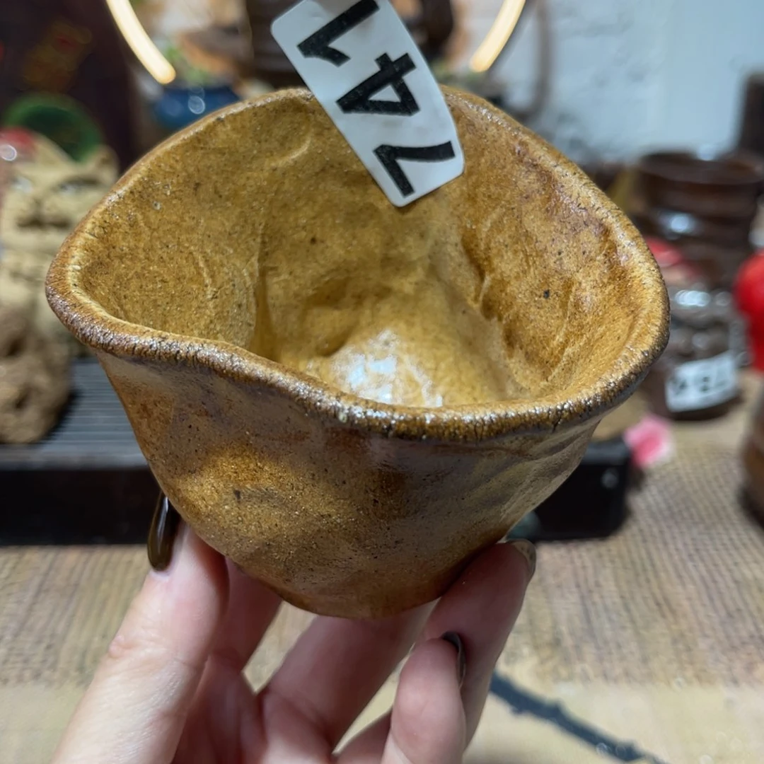 木村信弘柴烧保平