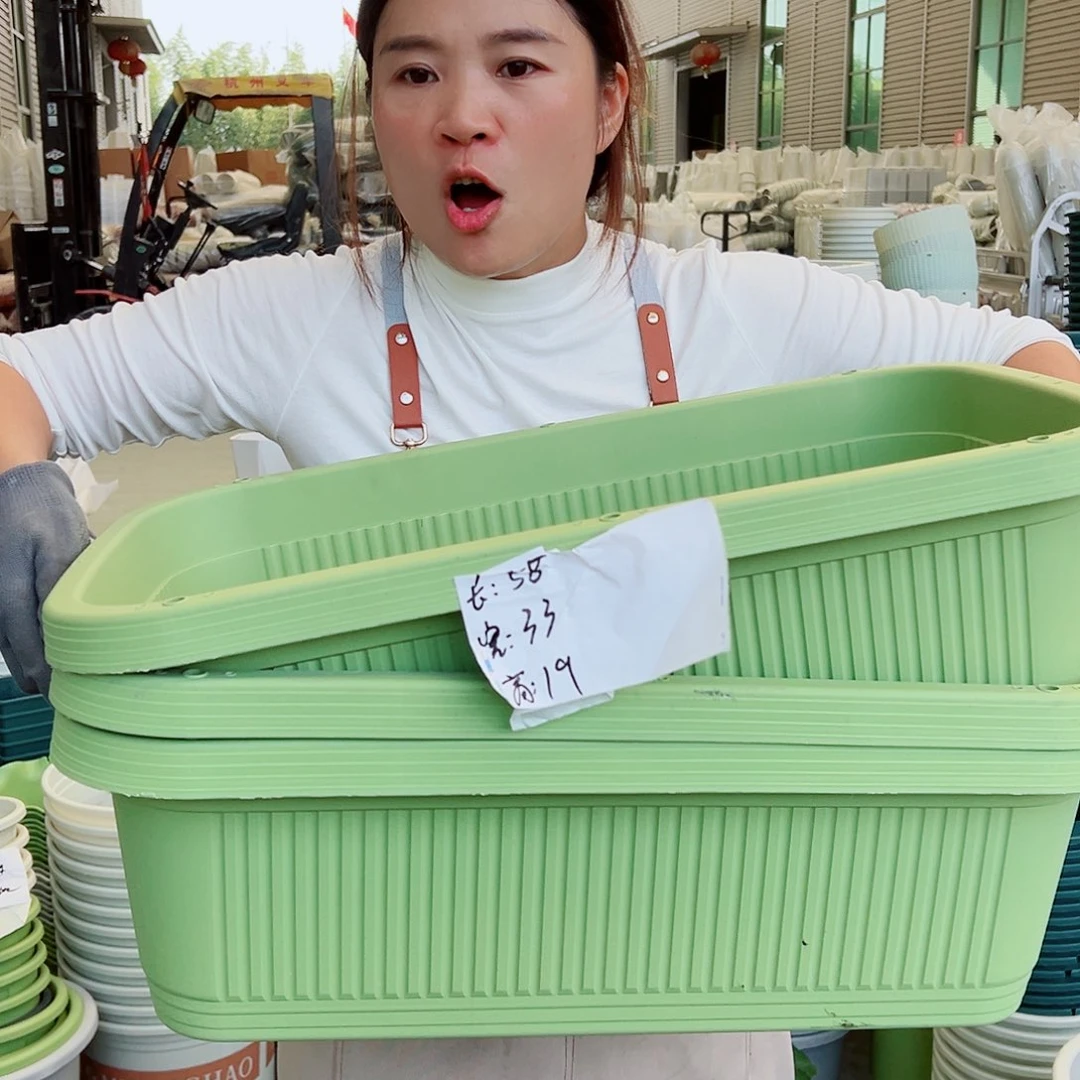 菜盆600#果绿色3个无托