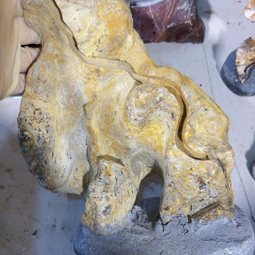 唯*附石盆景一物一拍