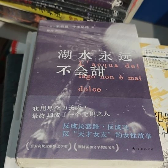 湖水永远不会甜。平装库存书全新