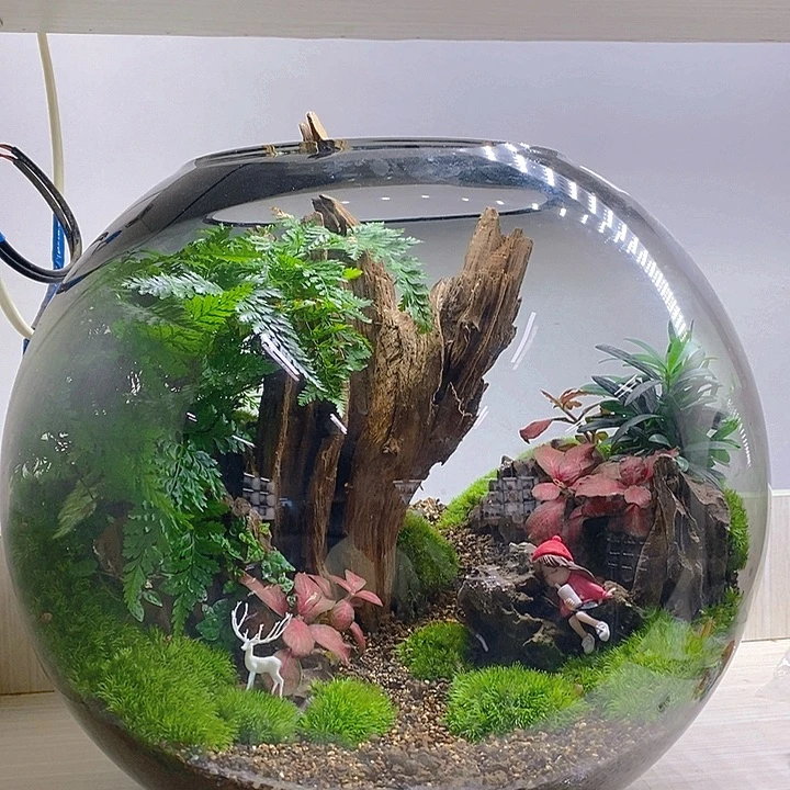 无花朵奶茶妹妹呀