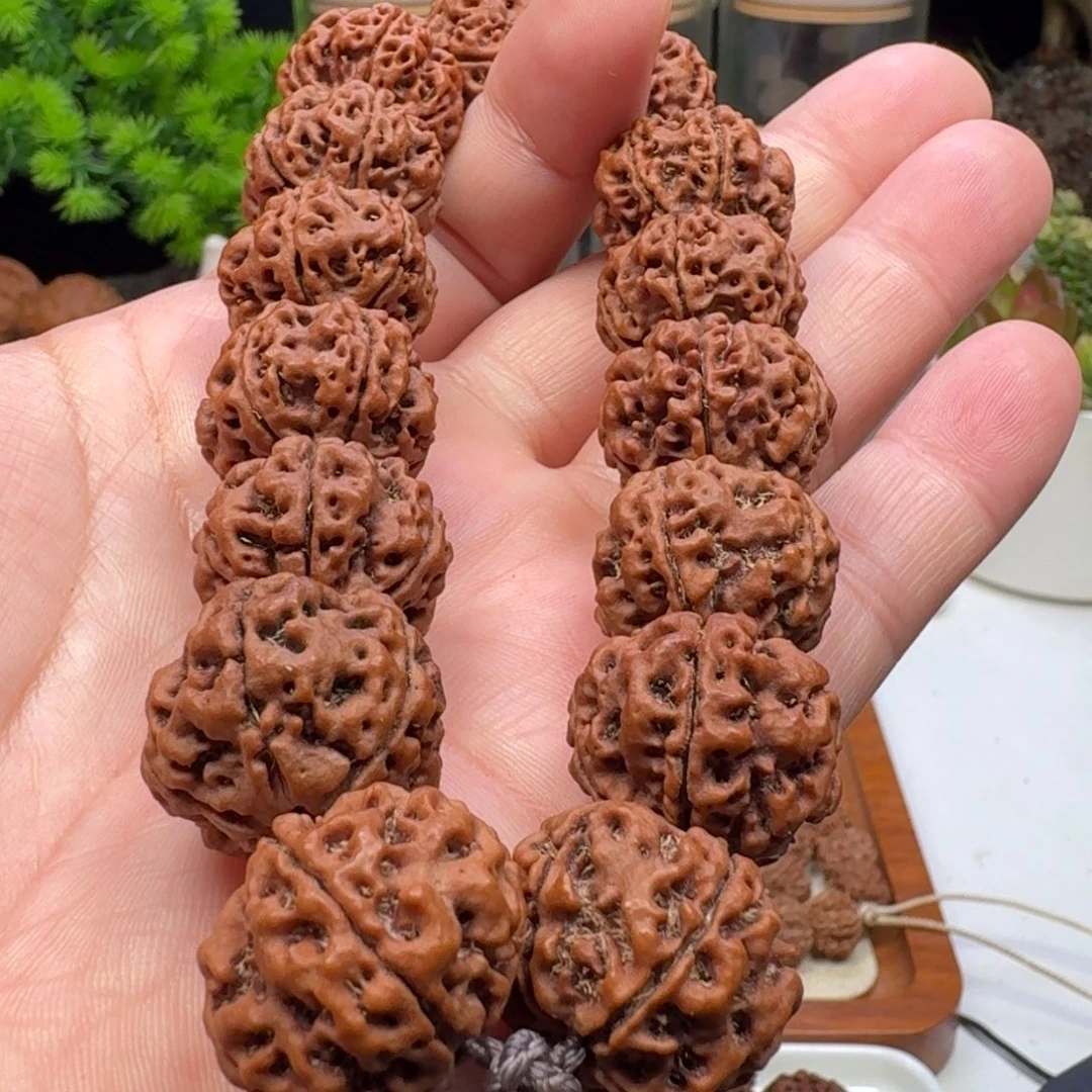 金刚菩提手串蜂窝双龙