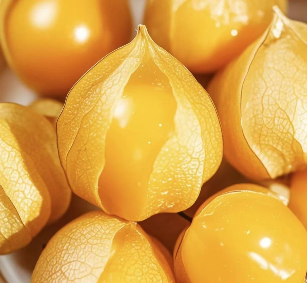 东北菇娘果新鲜应季灯笼果姑娘果黄金果香甜多汁