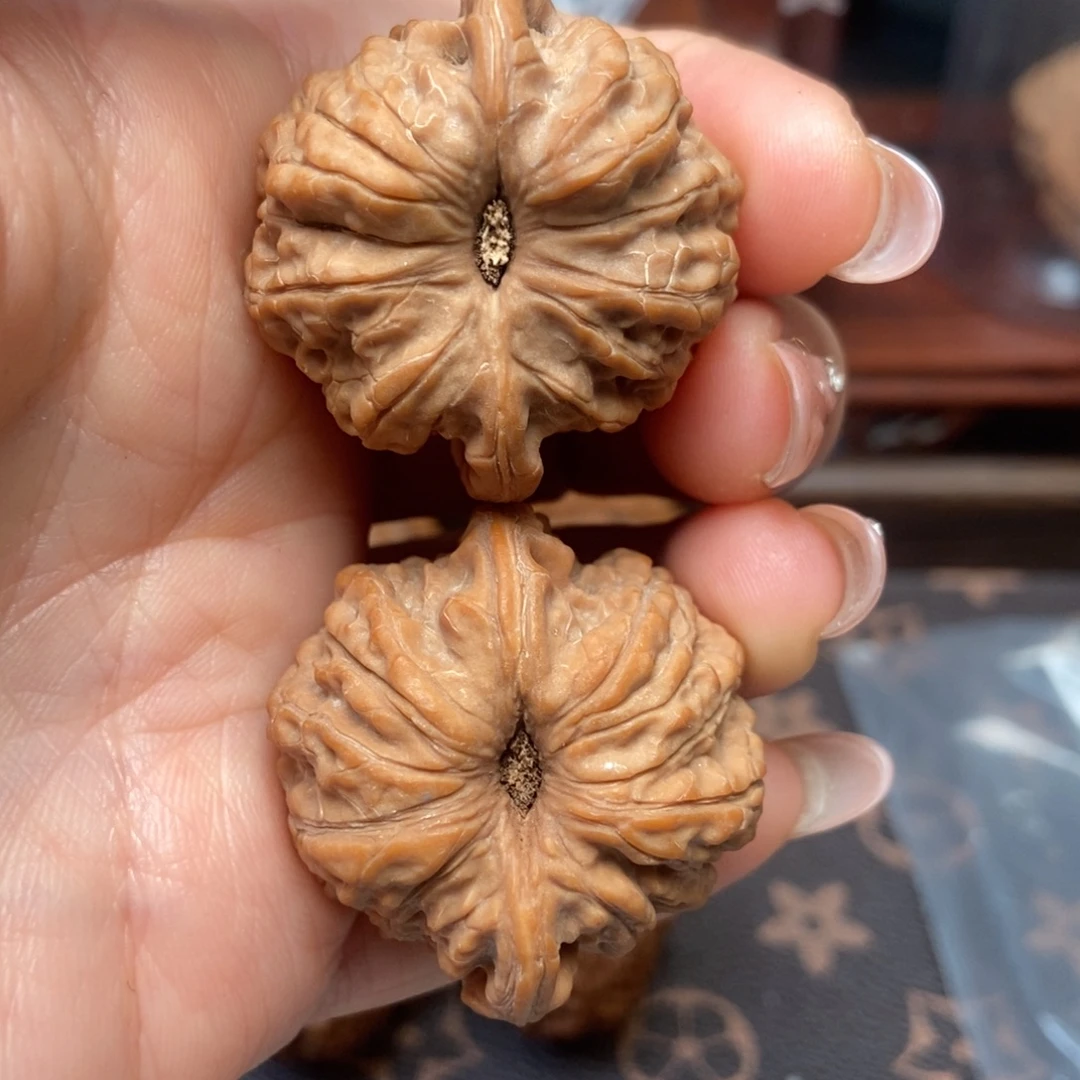 大叶紫檀（黑酸枝木类）血麒麟